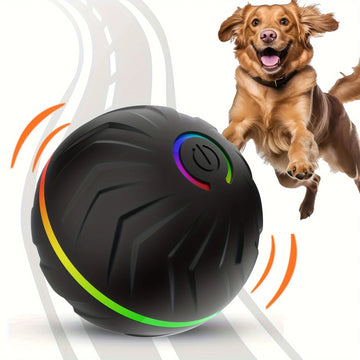 Interactive Smart Dog Toy Ball
