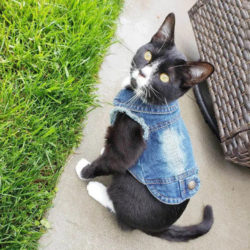 Denim Cat Vest Jacket for Small Pets