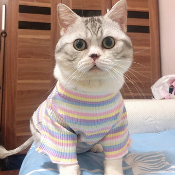 Cotton Striped Cat Vest Shirt