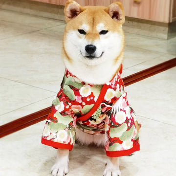 Crane & Cherry Blossom Cosplay Outfit for Small Dogs