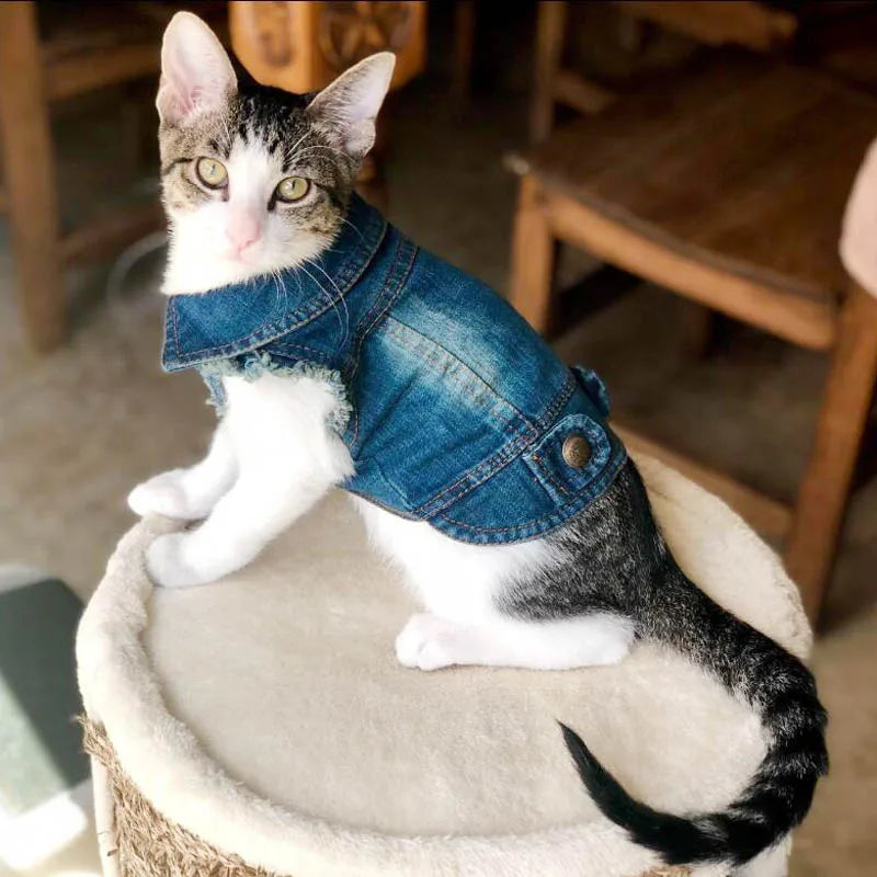 Denim Cat Vest Jacket for Small Pets