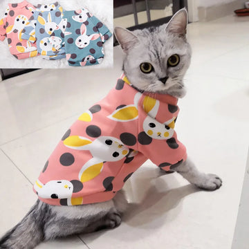 Winter Warm Cat Hoodie Sweater Soft Cozy Pet Clothing for Cats
