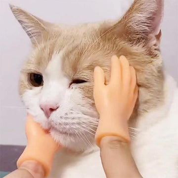 Mini Hand Cat Teaser Toy