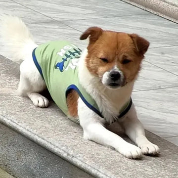 Summer Cotton Dog Vest Letter Print Shirt