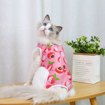 Female Cat Spay Recovery Suit Anti-Lick Onesie