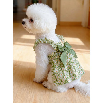 Daisy Princess Style Outfit for Small Dogs