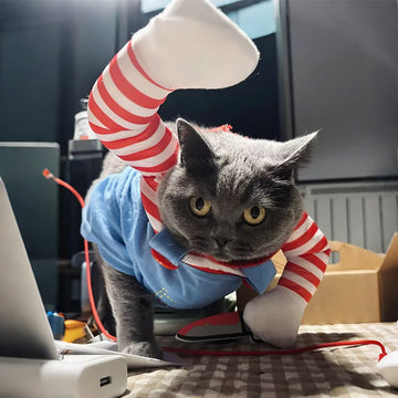 Funny Halloween Pet Costume Shirt for Cats