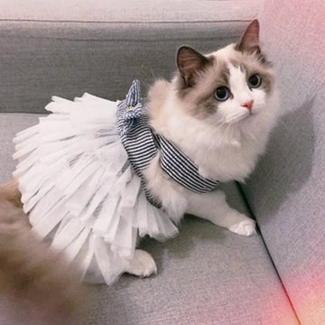 Striped Cat Summer Vest Dress