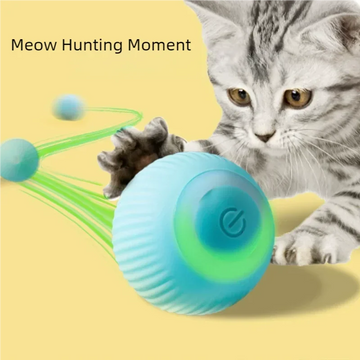 Smart Automatic Rolling Cat Toy Ball