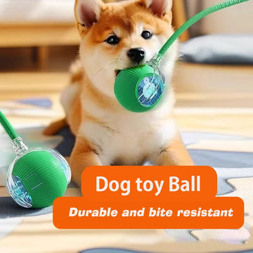 Smart Automatic Rolling Dog Ball USB Rechargeable Interactive Toy