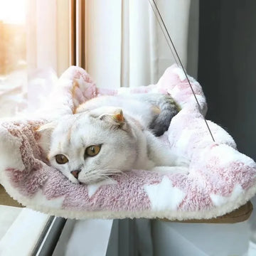 Window Hanging Pet Hammock Sunny Seat with Strong Frame