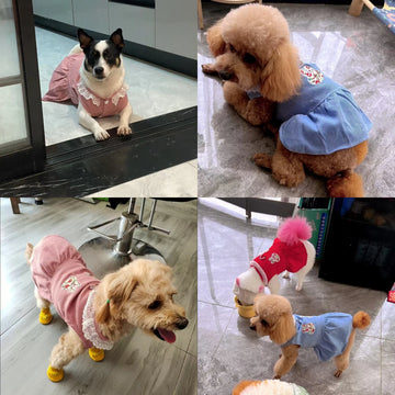 Spring Summer Dog Princess Dress