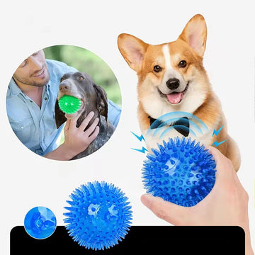 High Bounce TPR Spiky Dog Ball Squeaky Dental Chew Toy