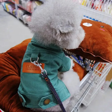 Summer Dog Hoodie Dress