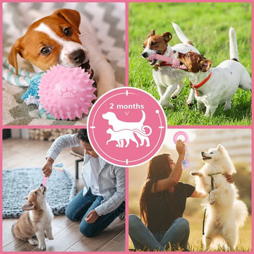 Soft Rubber Bone Dog Chew Toy
