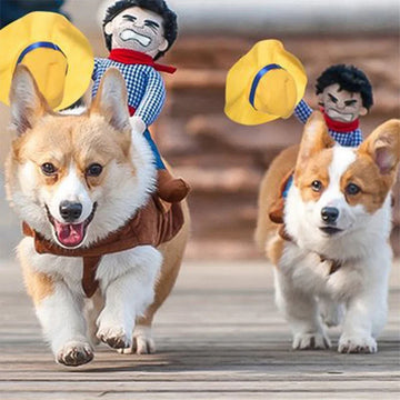 Halloween Cowboy Jacket Costume for Dogs