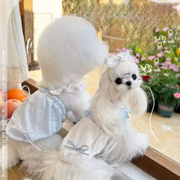 Spring Pumpkin Dog Dress with Colorful Bowknot