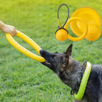 Dog Rope Frisbee Toy Durable Interactive Chew & Training Toy