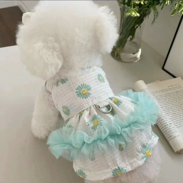 Lace Flower Dog Princess Dress