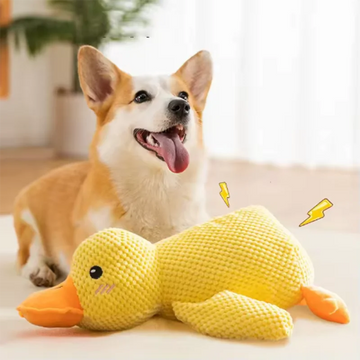 Interactive Plush Duck Dog Toy