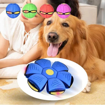 Flying UFO Morph Ball Dog Toy