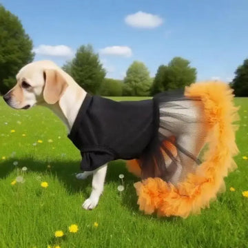 Halloween Pumpkin Tutu Dress for Small & Medium Dogs