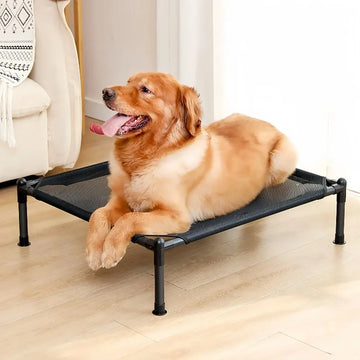 Foldable Portable Dog Bed for Dogs