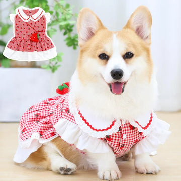 Cute Strawberry Dog Dress with Backpack Design