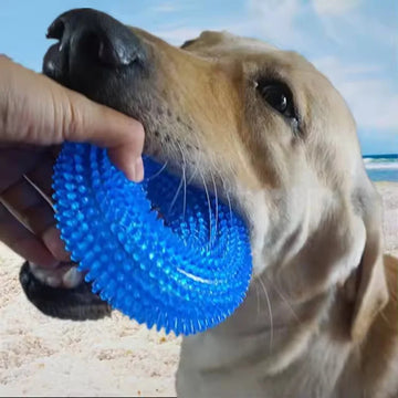 TPR Squeaky Dog Chew Toy Spiky Dental Tire Toy