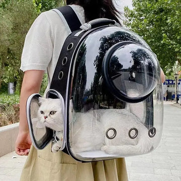 Space Capsule Transparent Pet Backpack for Cats & Small Dogs