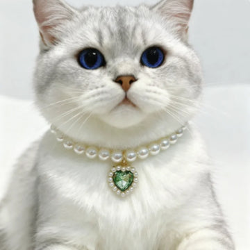 Princess Style Pearl Pet Collar