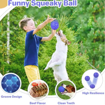 Indestructible Rubber Dog Chew Toy