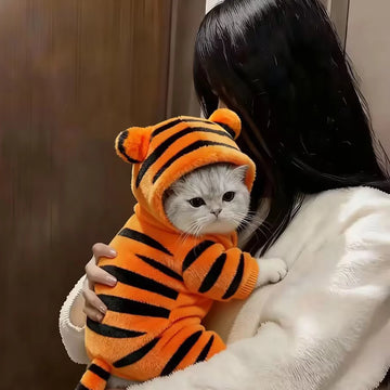 Tiger Cat Winter Costume Set