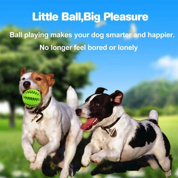 Interactive Rubber Dog Chew Ball