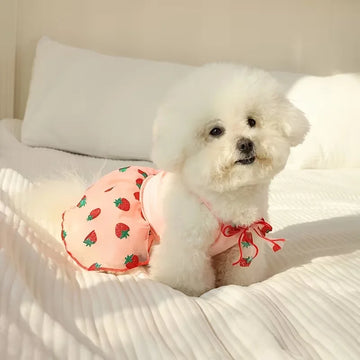 Summer Thin Puppy Princess Dress for Small Dogs