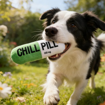 Indestructible Plush Dog Chew Toy with Squeaker