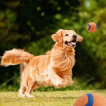 Tough Elastic Chew Toy for Puppies & Dogs