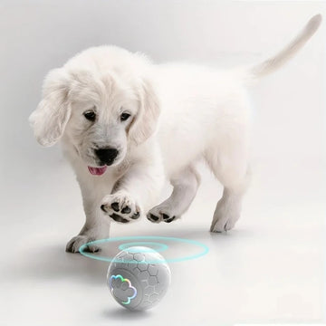 Smart Automatic Bouncing Dog Toy Ball with RGB Light