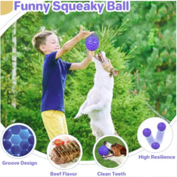 Indestructible Rubber Dog Chew Ball