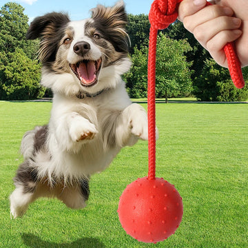 Rubber Dog Ball with Rope Interactive Chew, Tug & Fetch Toy