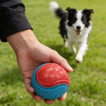 Glow Rubber Dog Ball