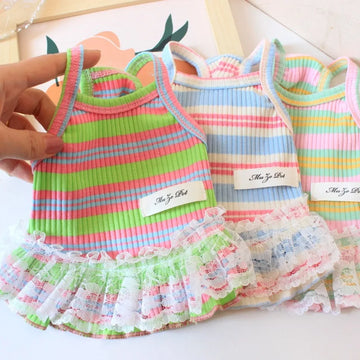 Lace Striped Dog Dress Summer Suspender Vest for Small Female Dogs