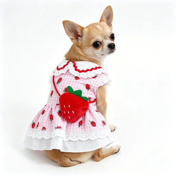 Cute Summer Spring Outfit for Small & Medium Dogs
