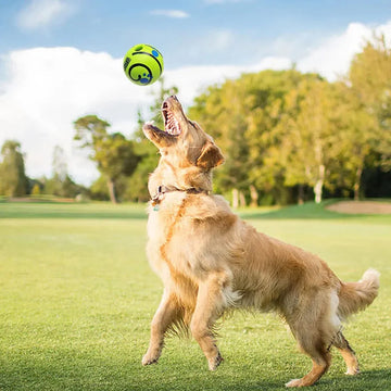Dog Giggle Ball Toy
