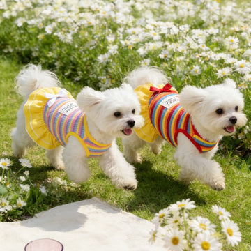 Lightweight Sunscreen Summer Outfit for Dogs