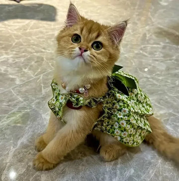 Floral Pet Party Dress for Cats