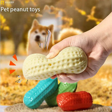 Interactive Rubber Peanut Chew Toy