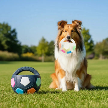 Interactive Squeaky Dog Soccer Ball