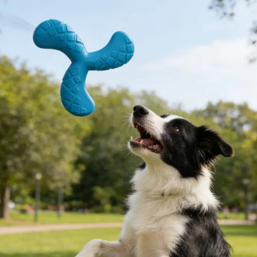 EVA Boomerang Flying Disc Dog Toy Durable Chew & Fetch Toy