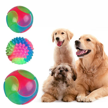 Interactive Bouncy Fetch Toy for Dogs